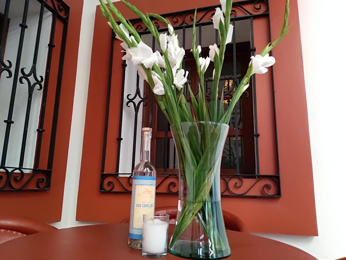 Casa Agave Oaxaca Bed and Breakfast Exterior foto