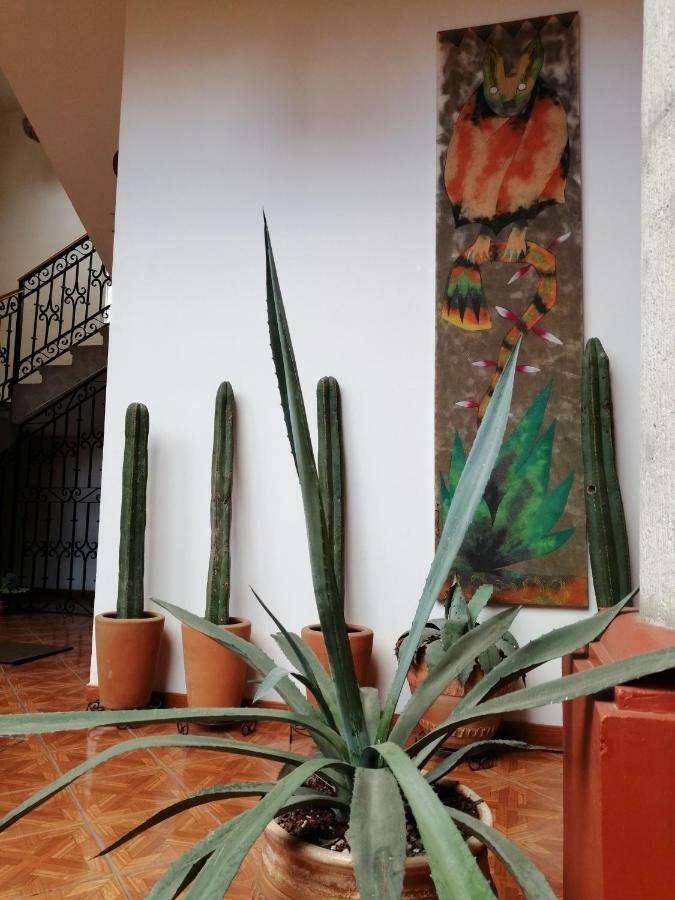 Casa Agave Oaxaca Bed and Breakfast Exterior foto