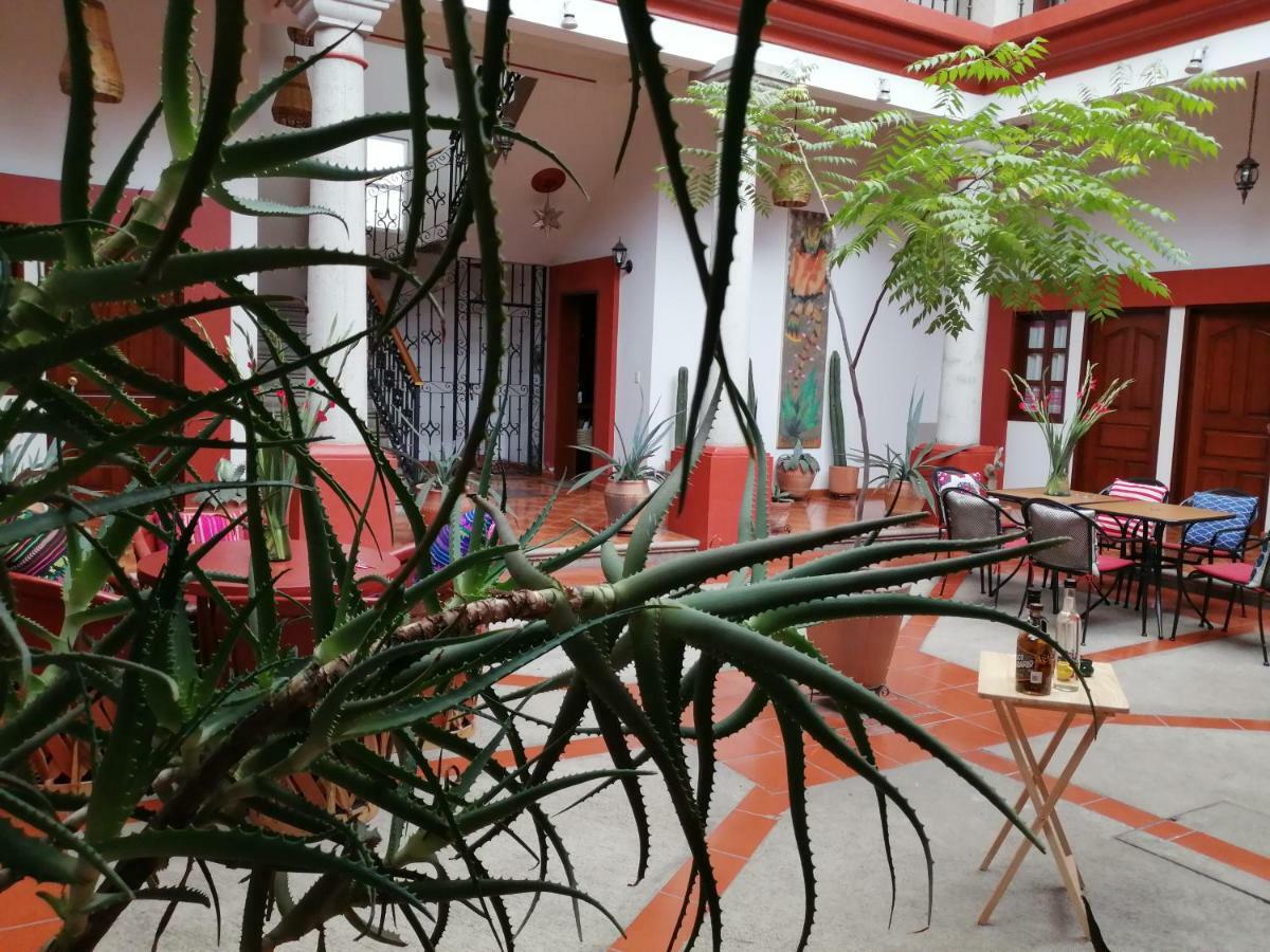 Casa Agave Oaxaca Bed and Breakfast Exterior foto